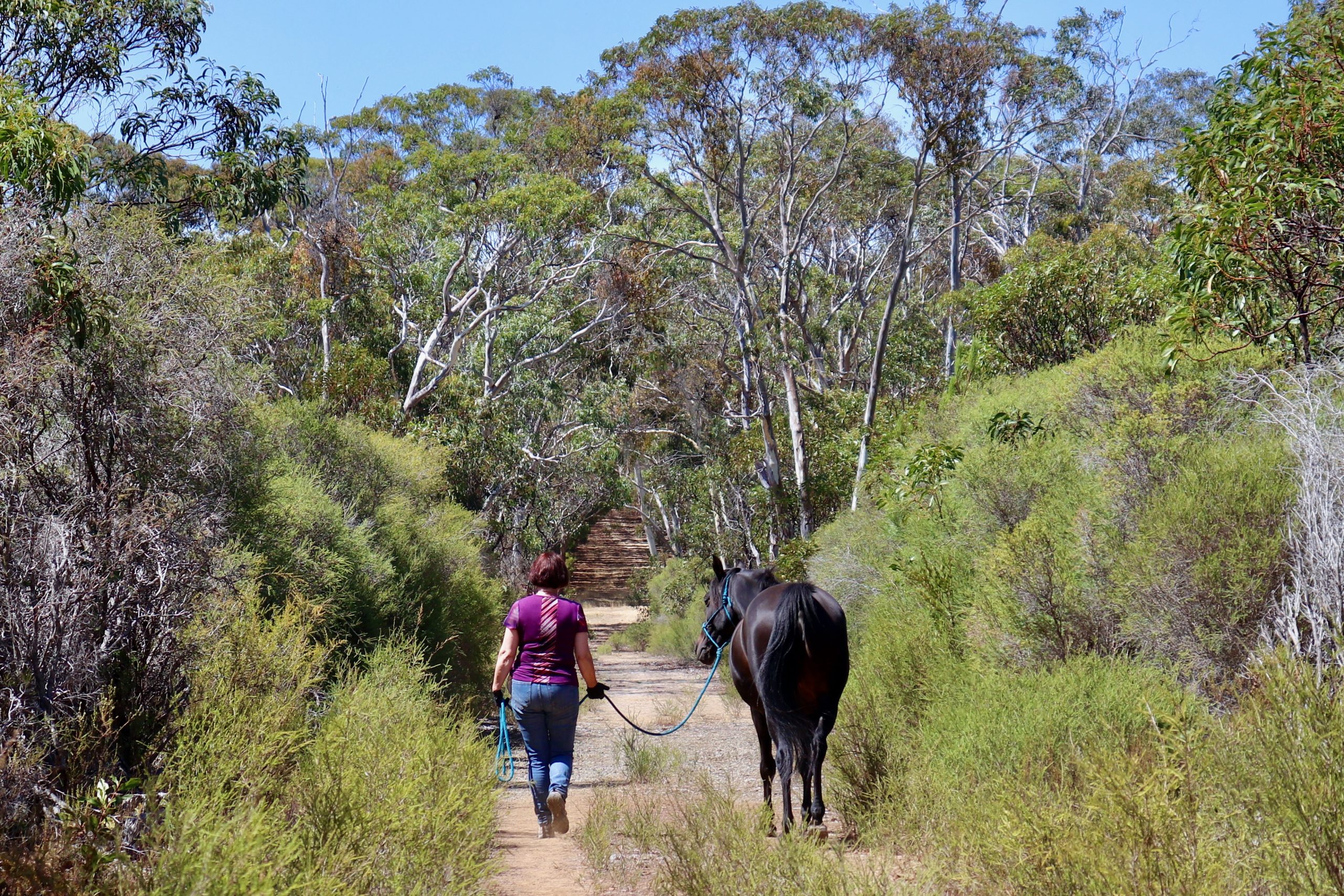 Woman and horse walking in synchrony side-by-side