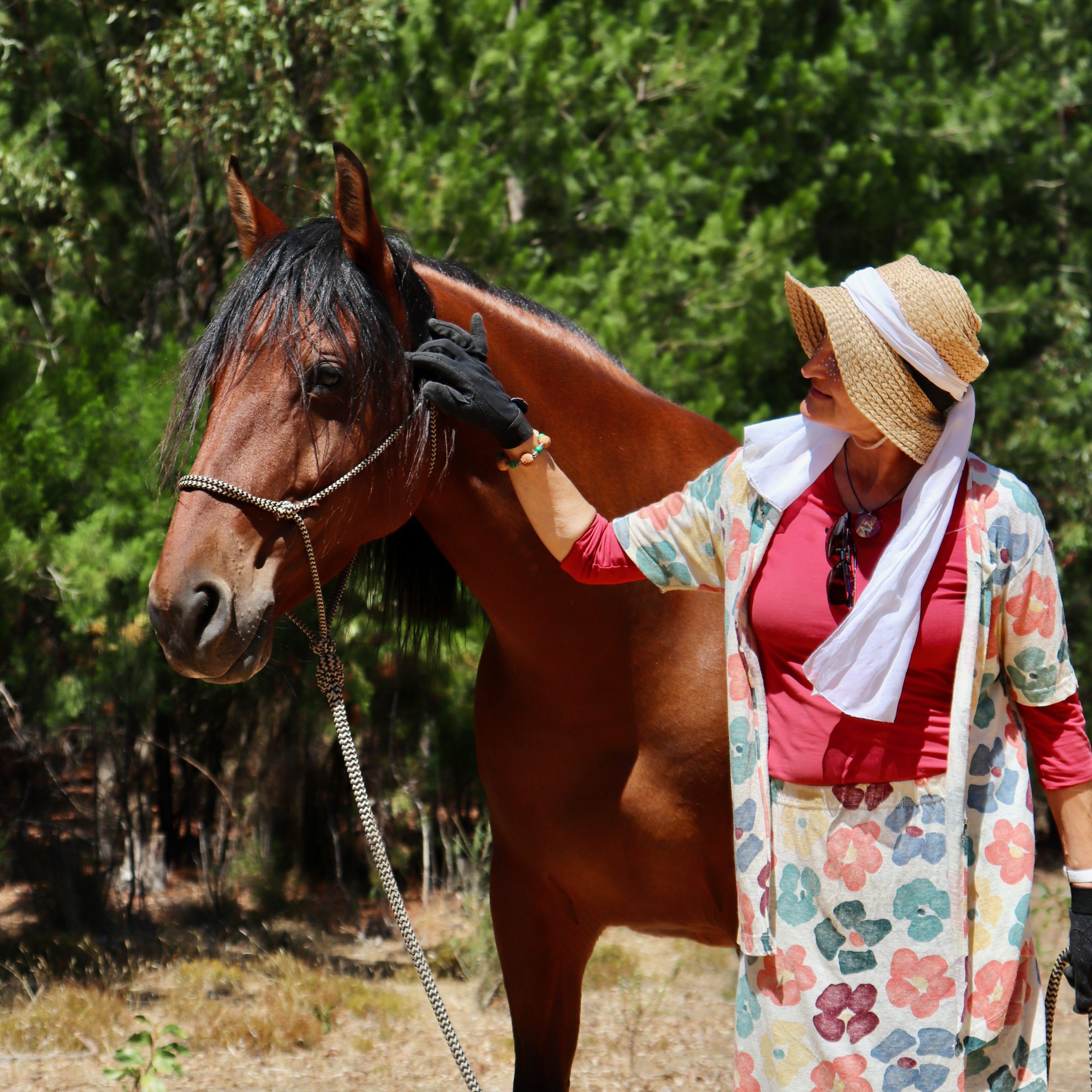 Human and horse eye to eye in nature