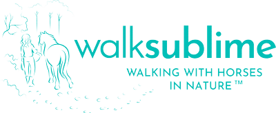 WalkSublime Logo