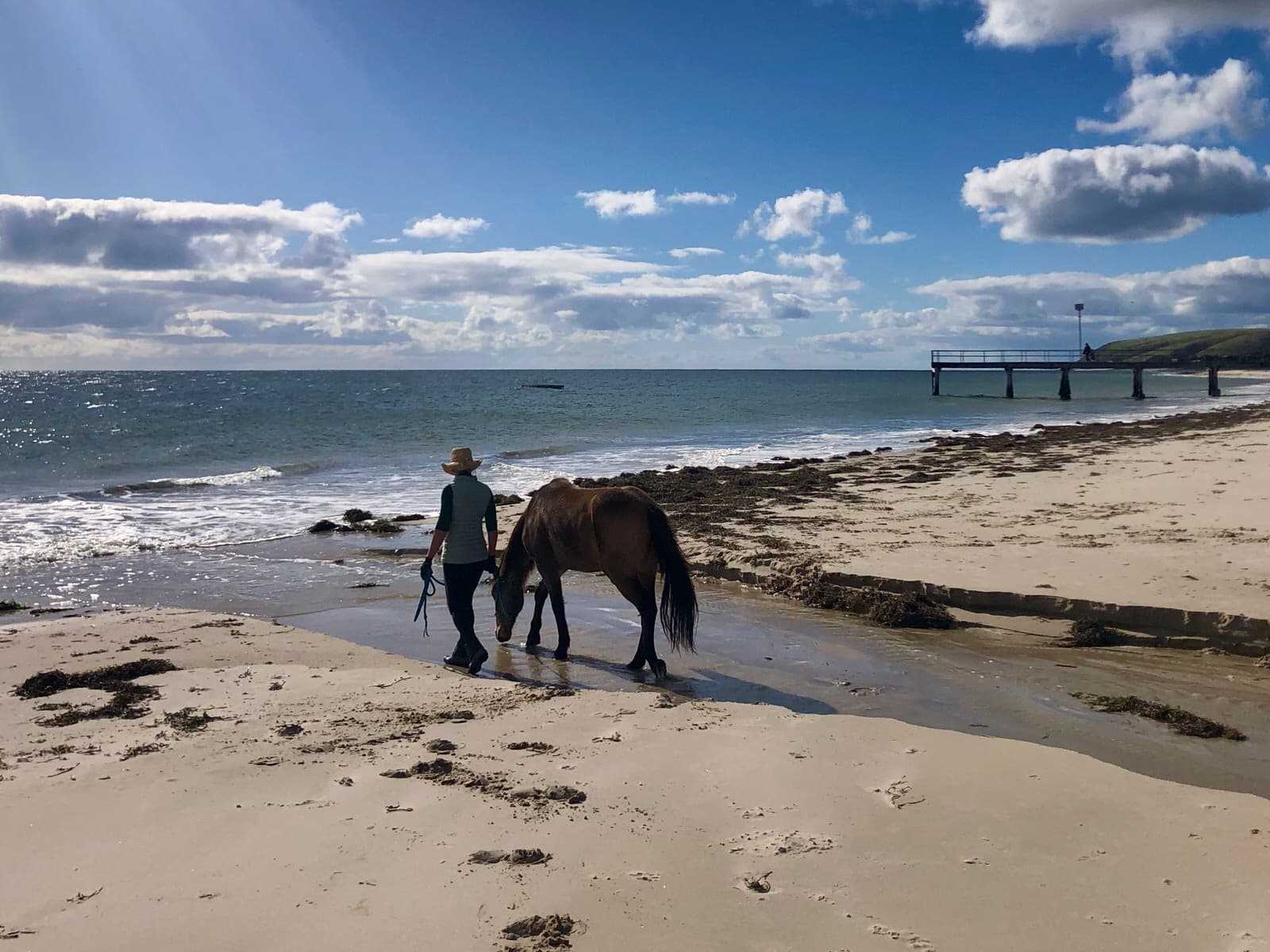 Julienne, walking with Brumby ‘Koszi’