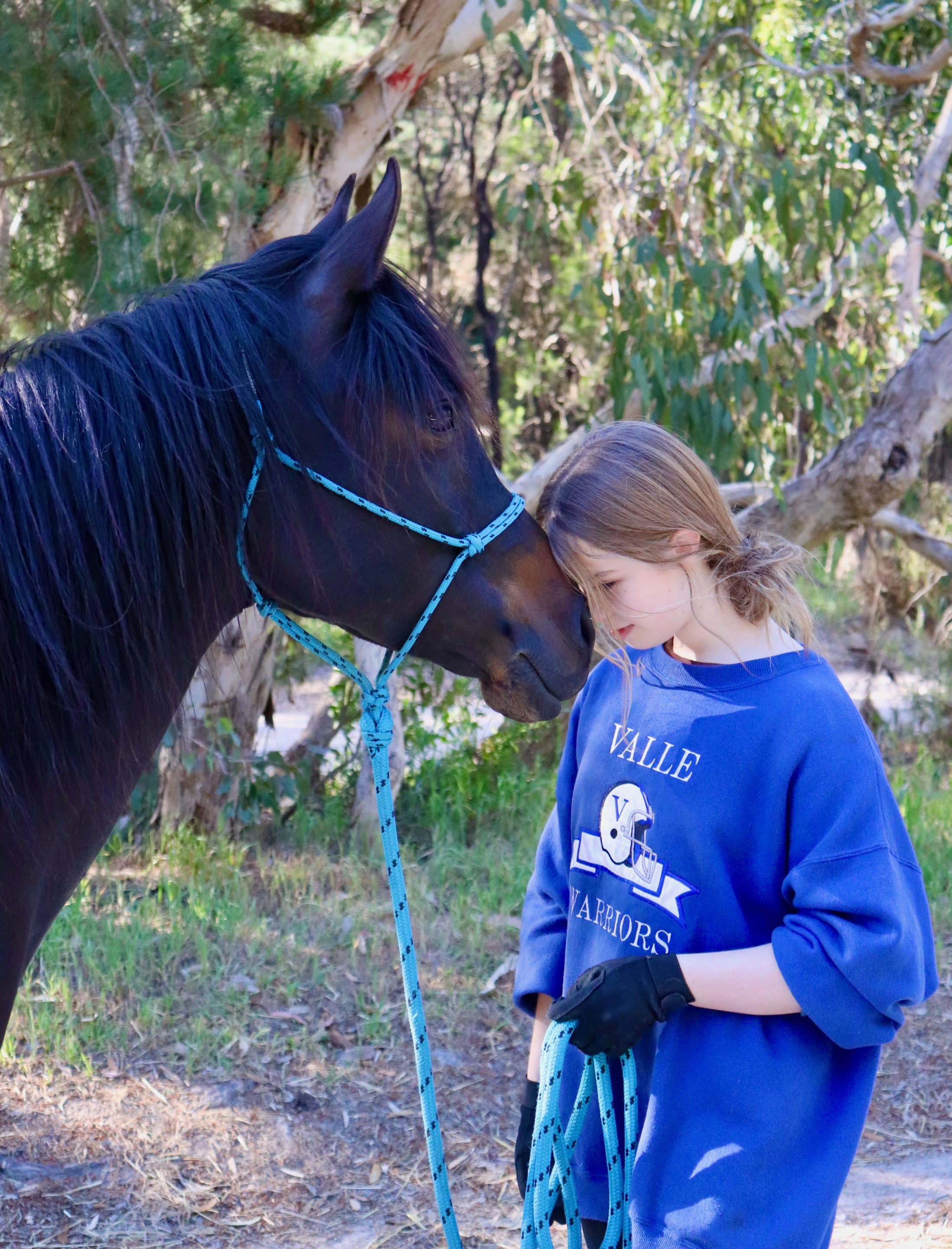 Teenage girl leaning her forehead gently against her horse's nose