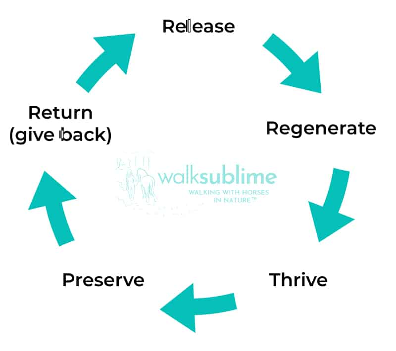 WalkSublime manifesto 5 pillars