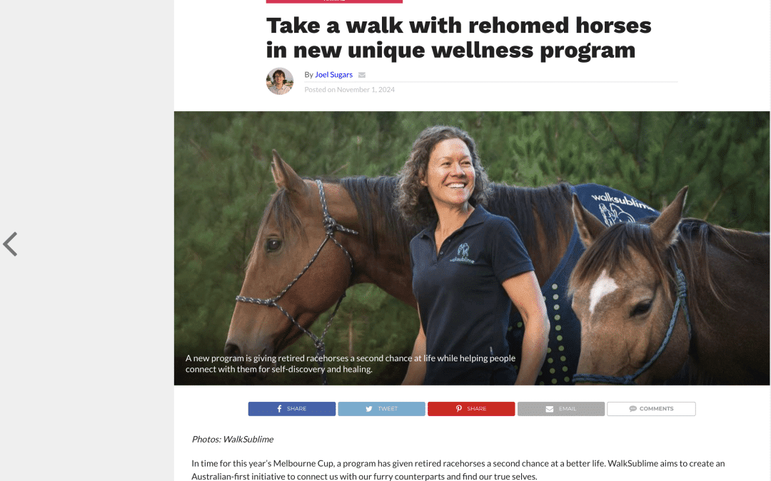 Glam Adelaide | Take a Walk with Rehomed Horses in new Unique Wellness Program