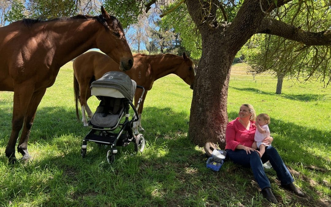 ABC radio 891 AM | Melbourne Cup day interview: Walking with Rehomed Racehorses