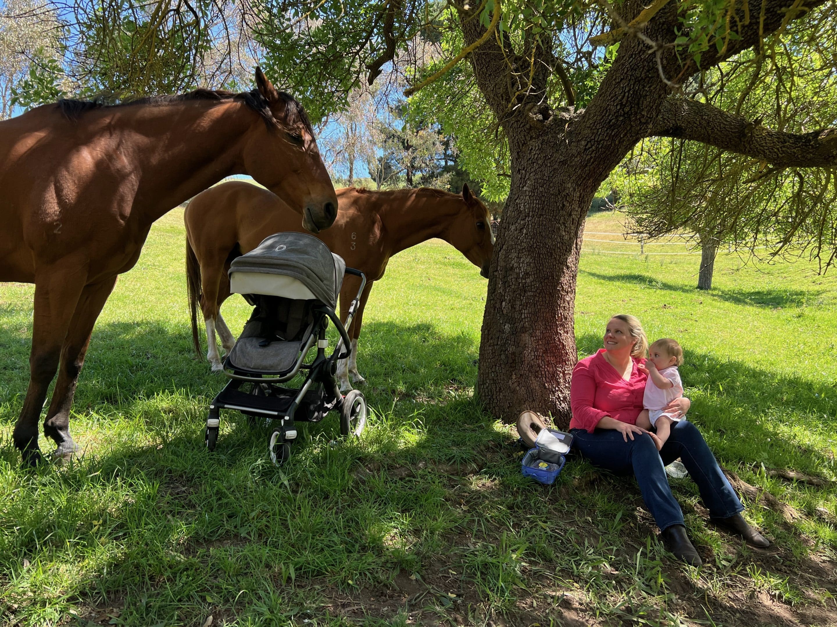 ABC radio interview with Mel in the company of her ex racehorses