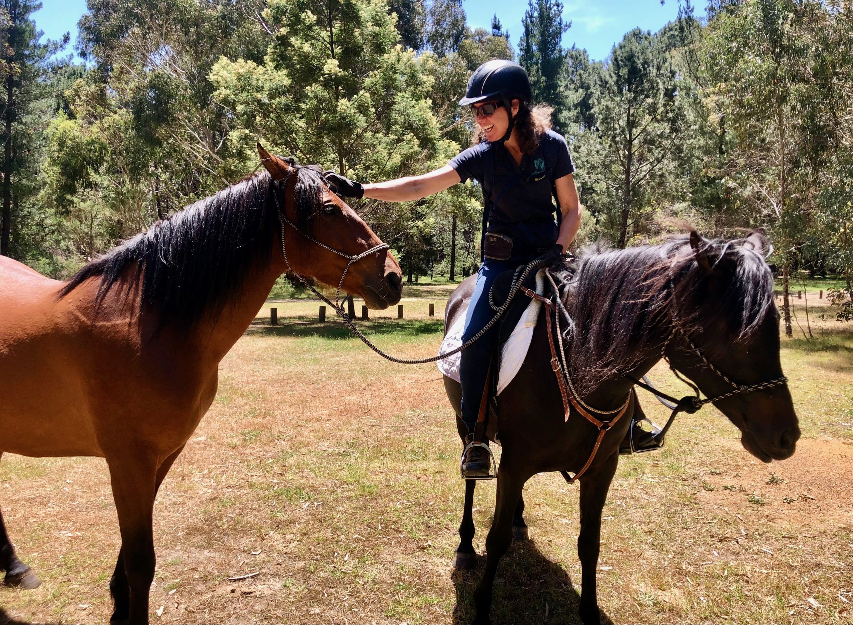 Horse rider reaching out from the saddle to touch another horse's forehead